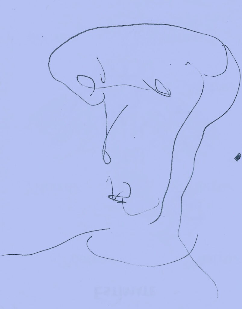 sketch of garden of five senses